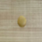 Gold colored oval shower disk