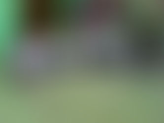 Świętujemy Dzień przedszkolaka