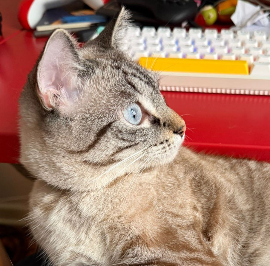 WhatsApp Image 2026-04-02 at 14.34_edited.jpg