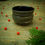 Thumbnail: Tea Cup N5