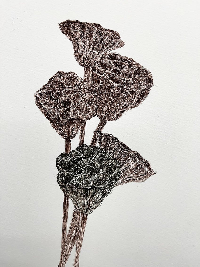 yukiさん.12.02_Pm.A