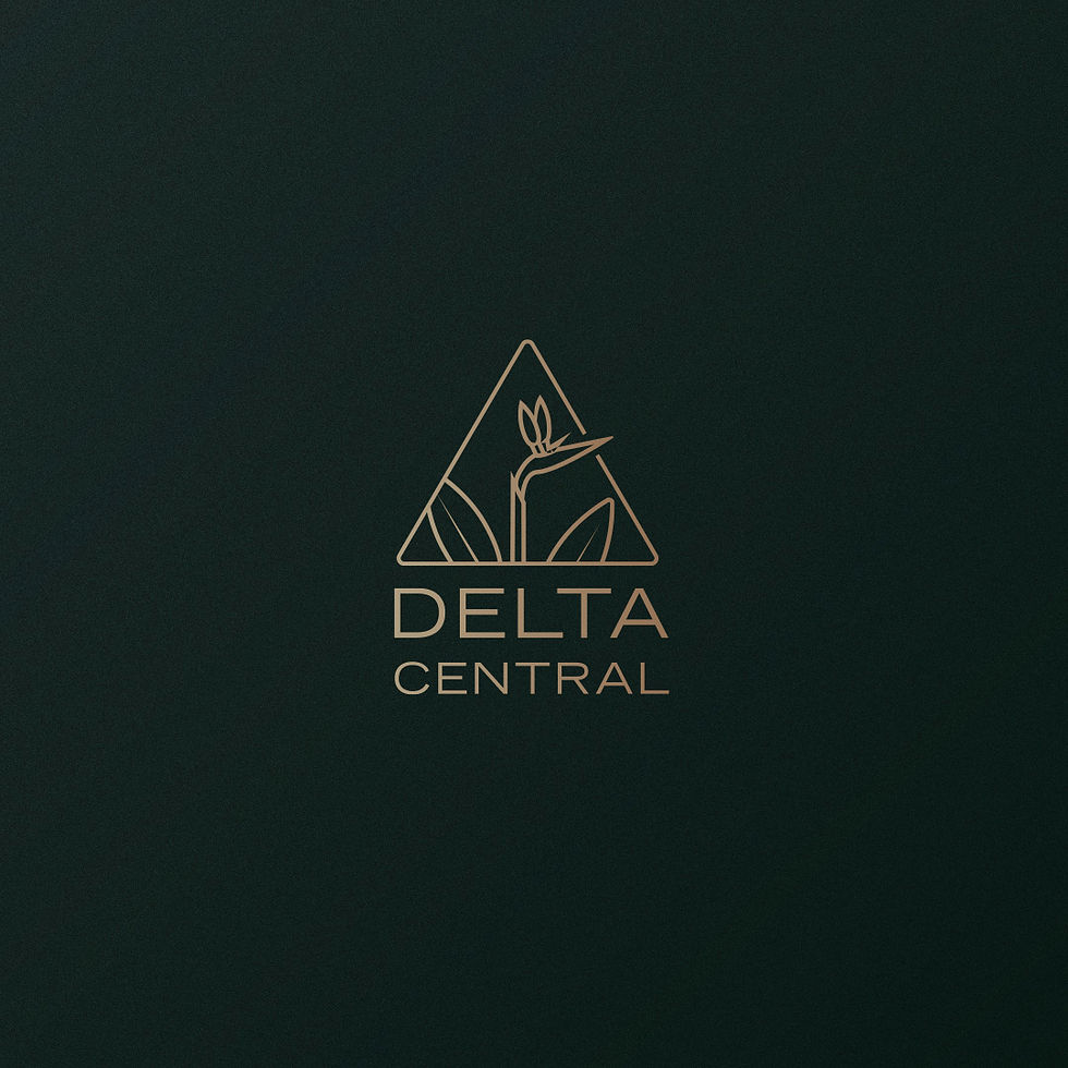 DELTA CENTRAL