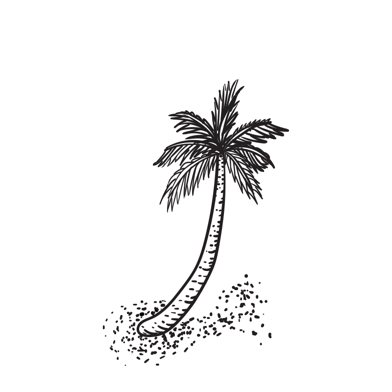 Palm-Tree-Animation.gif
