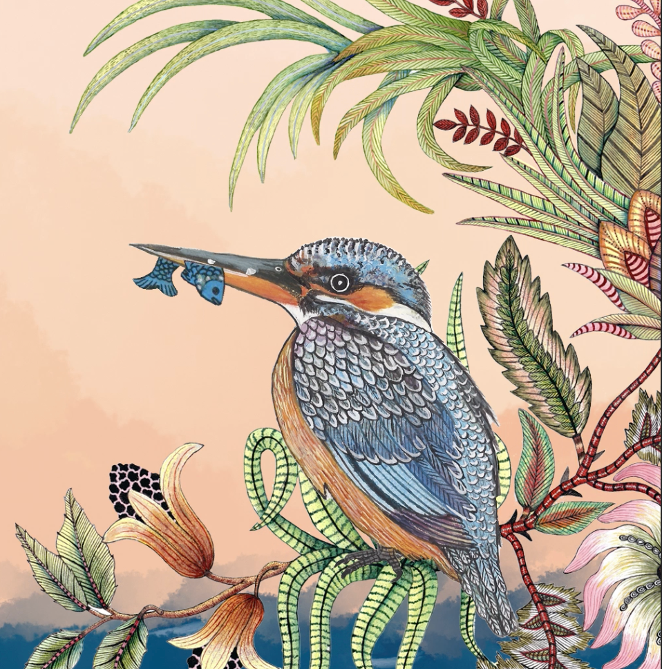 Ardmore frame by frame stories