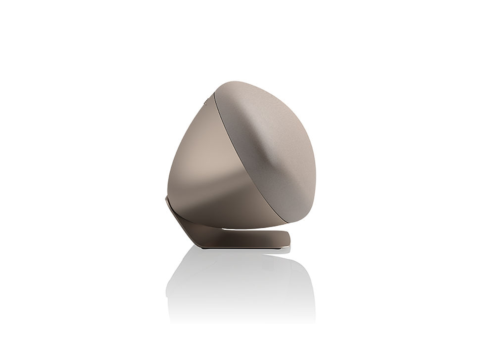 縮圖：享悅音響 Bowers & Wilkins B&W Zeppelin Pro Edition 無線串流喇叭 {公司貨}