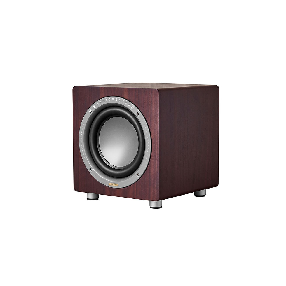 縮圖：享悅音響(實體店面)丹麥 Audiovector QR SUB 10吋 重低音喇叭 (展示品) {公司貨}