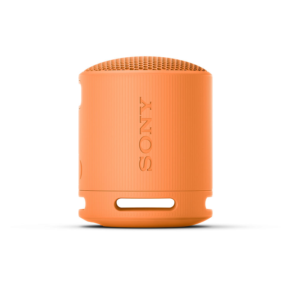 縮圖：享悅音響(實體店面) SONY SRS-XB100 可攜式防水防塵無線藍牙喇叭 {公司貨}
