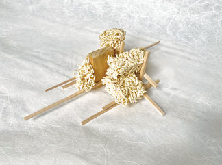 LARP 7802-001-Jiayuan Wang-perception and representation-1.jpg