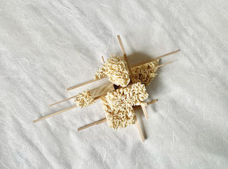 LARP 7802-001-Jiayuan Wang-perception and representation-2.jpg