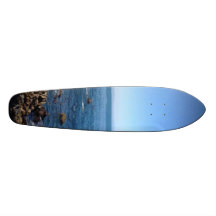 7 1/8" Monterey Cali Skateboar.jpeg