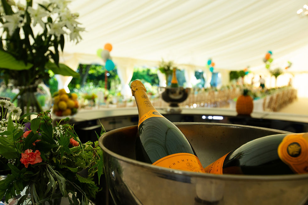 Marquee interior at high end party