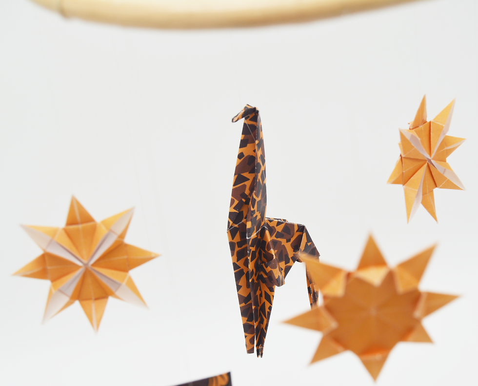Miniature : La savane, un voyage dans les nuages