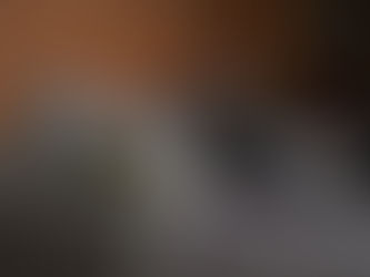 New Year, New Pillows: Refresh Your Space with Comfort and Style with Pillow Inserts