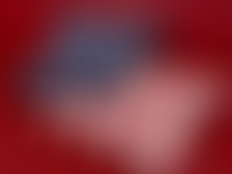 Celebrating the 4th of July with Pillows and Fibers: Comforting the American Dream