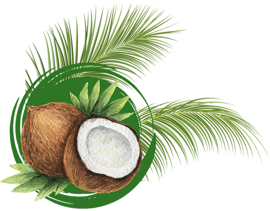 Coco Bahia Qualidade é Coco Bahia (4).png