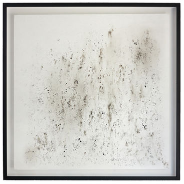 arte-laguna-prize-frederique-nolet