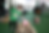 DSC_5929.png