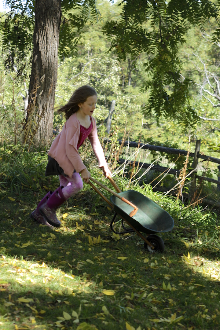 PHOTO GALLERY lakesideschool