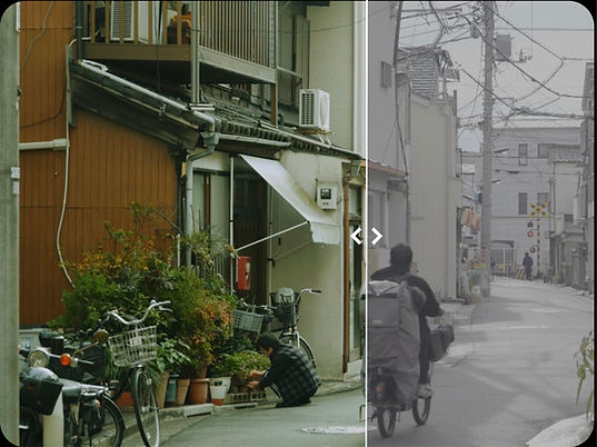 Superia