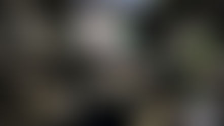 Arnaques en distribution et promotion musicale : les erreurs à éviter 