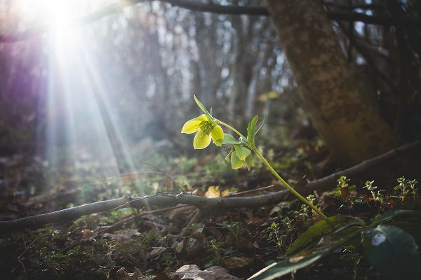 Breaking News: Repentance from sin is an essential part to the emotional and spiritual recovery.
