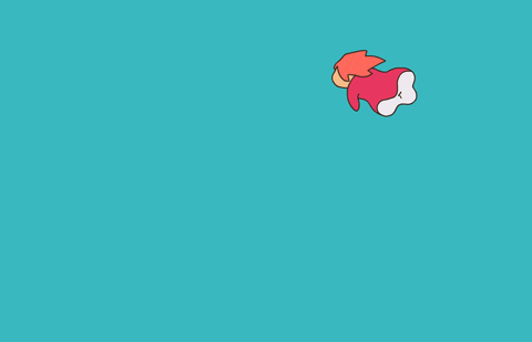 giphy.gif