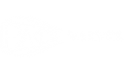 The Pace Valves Group