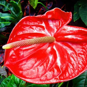 untitled image