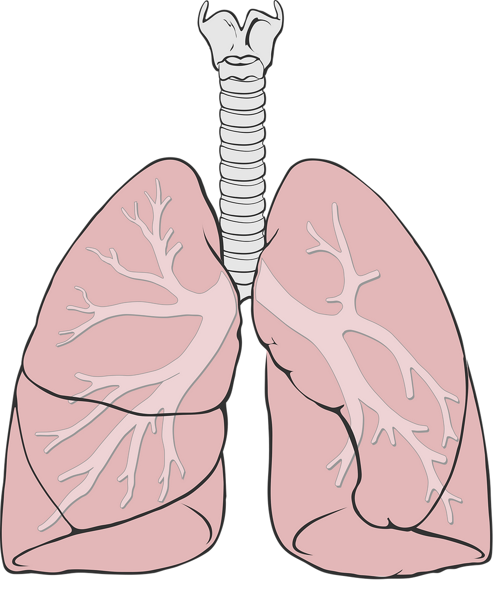 Best Treatment For Different Types of Lung Cancer