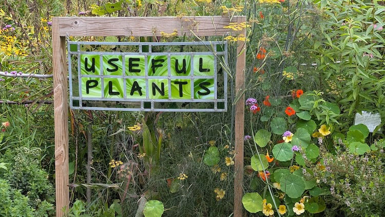 A popular area of the Habitat For All Garden at Valentine Farm, but "useful" to whom?