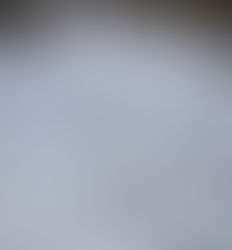 From Winter to Spring: A Vernal Pool Emerges