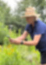 "Not only can you identify plants when they are emerging in spring, you can also learn an amazing amount of info about the plant..."
