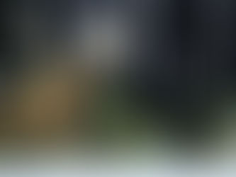 If You Can See The Dark