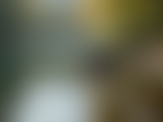 Mastering Fly Fishing: Tips for Beginners and Experts