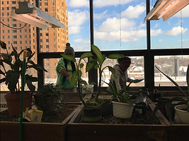 Student Weatherization Workshop