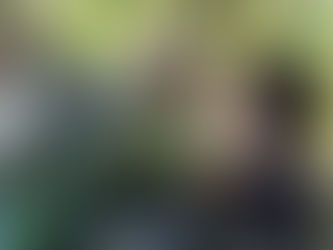 Jeff Nichols vai dirigir terceiro filme da franquia 'Um Lugar Silencioso'