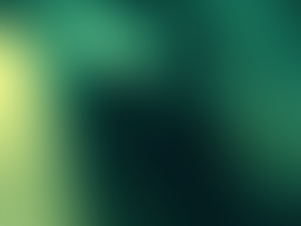 O livro The Last House On Needless Street vai virar filme