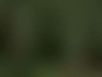 Natureza Violenta 2 divulga trailer e leva Johnny para um acampamento de verão