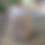 Thumbnail: Cow dung Liquid Fertilizer