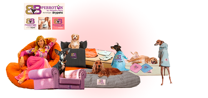 BANNER BB WEB 2024 DRYPETS HEADER.png