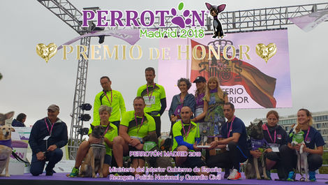 Premio de Honor Perrotón Madrid 2018 