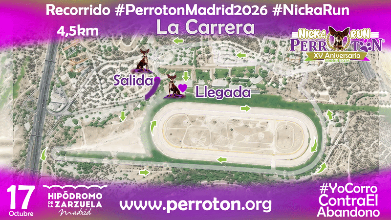 GIF RECORRIDO PERROTON MADRID 2026 NICKA RUN.gif