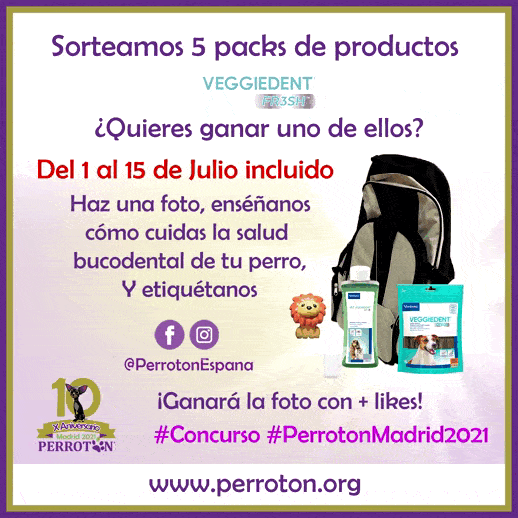 SORTEO VEGGIEDENT FR3SH - PERROTON MADRI