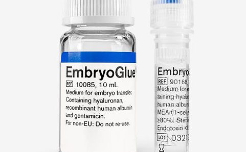 embryo glue