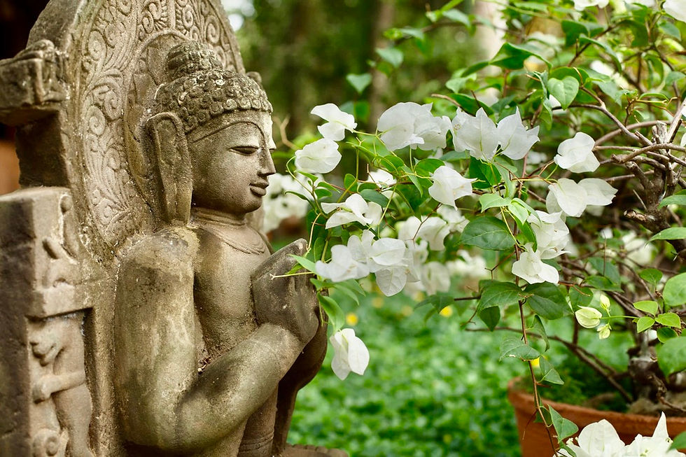 Voyage Yoga & Ayurveda au Kerala avec 1vie2yogis