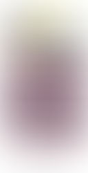 CCIP Training Calender