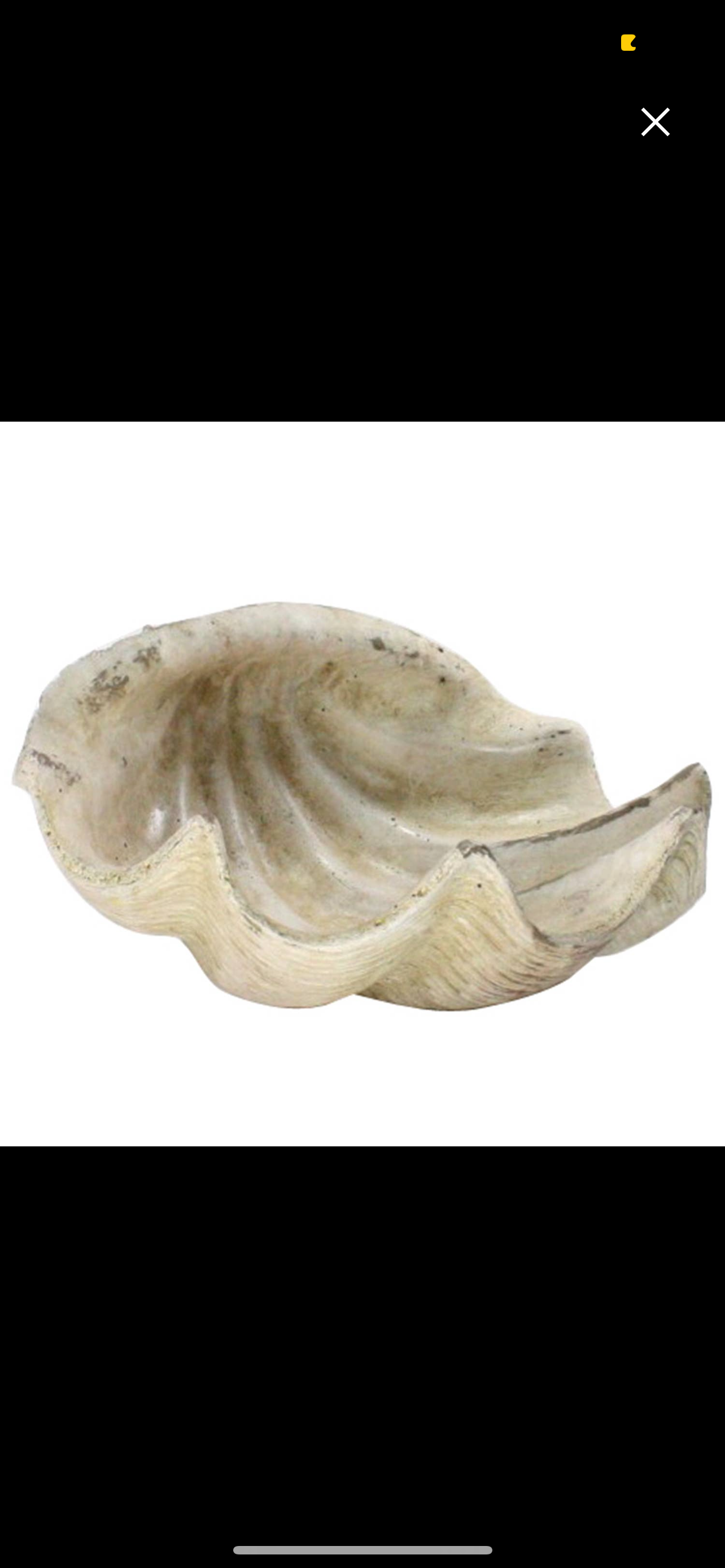 Decorative Shell