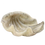 Thumbnail: Decorative Shell