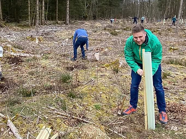 Marvin Kraus pflanzt Bäume