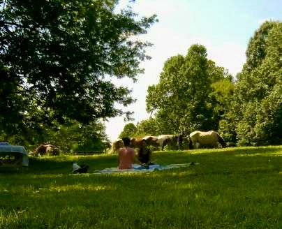 holistic healing outside with horses